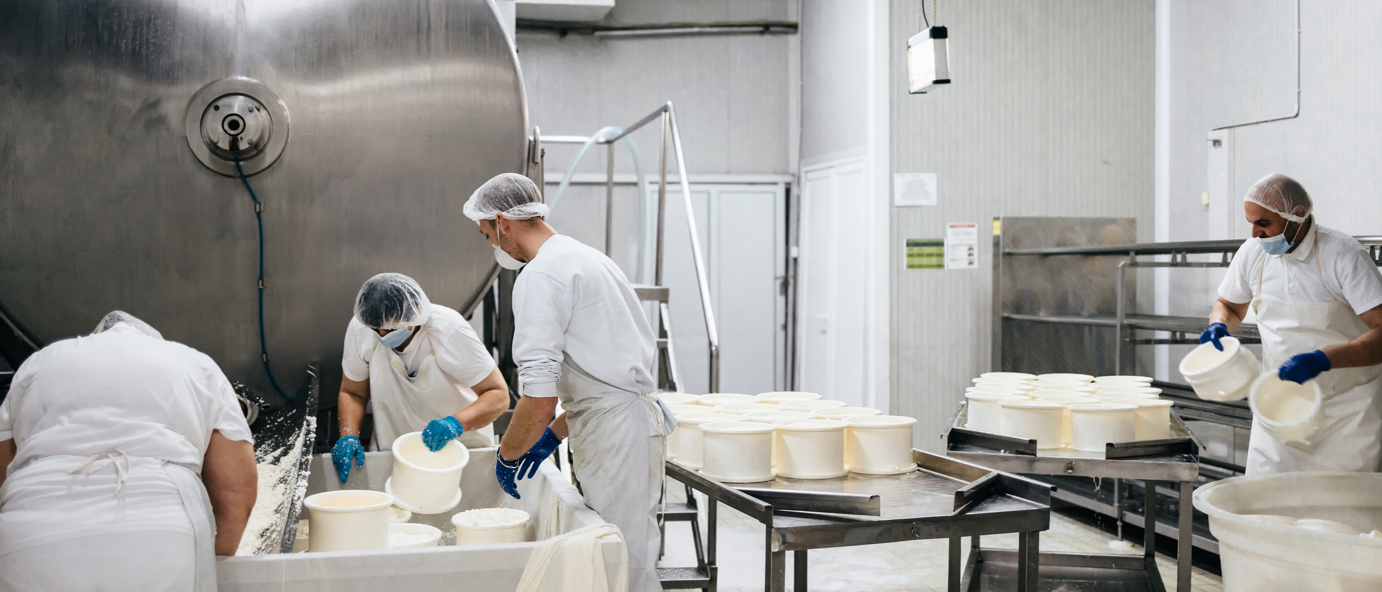 Large Cheese Manufacturer | Mantis Innovation