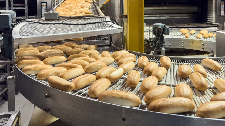 Bread Plant