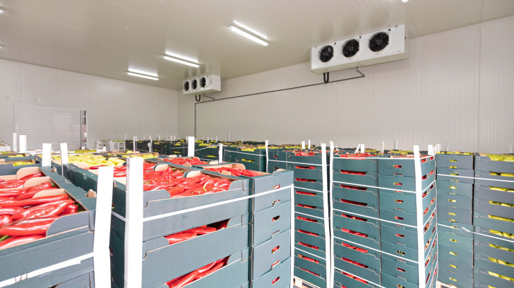 Cold Storage