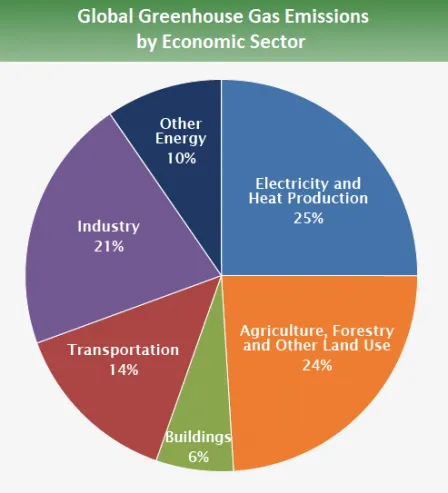 emissions%20by%20sector.png